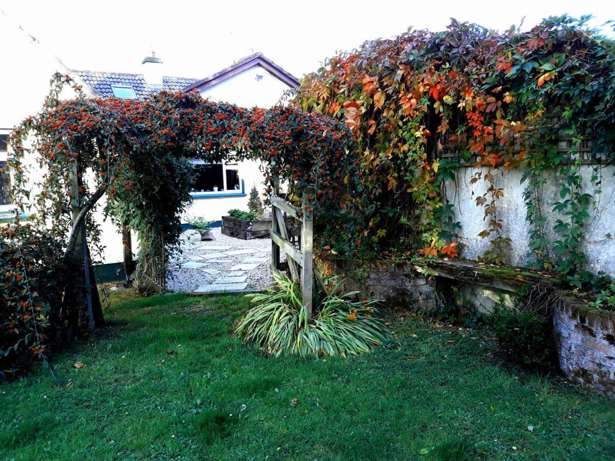 Country Home Tara Rathfeigh ภายนอก รูปภาพ